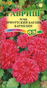 Астра Эрфуртский карлик Кармезин  купить