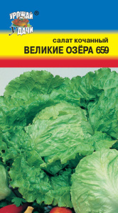 Салат Великие Озера 659 кочанный  купить