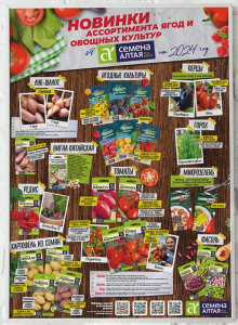 Плакат Новинки ассортимента ягод и овощей 2024 купить