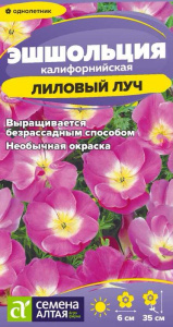 Эшшольция Лиловый луч  купить