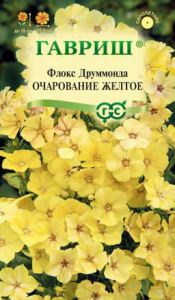 Флокс Очарование желтое друммонди купить