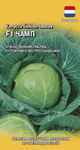 Капуста Чамп F1  купить