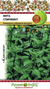 Мята Спирминт купить
