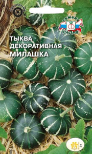 Тыква Милашка (декоративная) купить