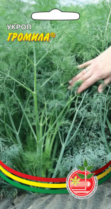 Укроп Громила (ГС)  купить