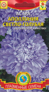 Астра Апполония Светло-голубая  купить