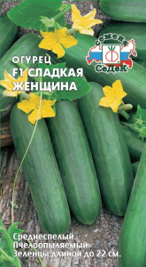 Огурец Сладкая женщина купить
