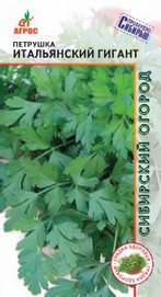 Петрушка Итальянский гигант листовая купить