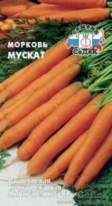 Морковь Мускат  купить