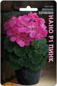 Пеларгония зональная карликовая Нано F1 Пинк  купить