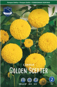 Георгина помпонная Golden Scepter /1шт  купить