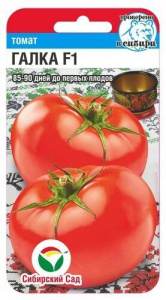 Томат Галка F1 купить