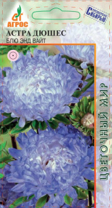 Астра Дюшес Блю энд Вайт купить