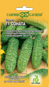 Огурец Соната РЗ F1  (Голландия)  купить