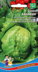 Салат Батавия  купить