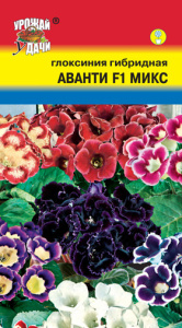 Глоксиния Аванти F1 Микс купить