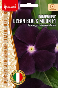 Катарантус Океан F1 Блэк Мун (Ocean Black Moon) купить