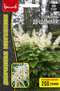 Волжанка Двудомная купить