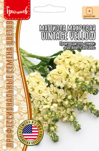 Маттиола Vintage Yellow махровая купить