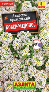 Алиссум Ковер-медонос  купить