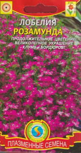 Лобелия Розамунда  купить