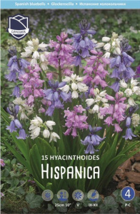 Гиацинтоидес (испанский колокольчик) смесь /15шт купить