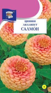 Цинния лиллипут Салмон  купить