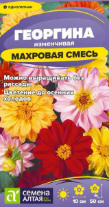 Георгина Махровая смесь окрасок  купить