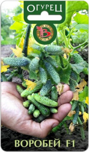 Огурец Воробей  купить