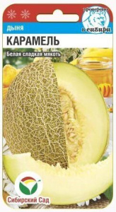 Дыня Карамель  купить