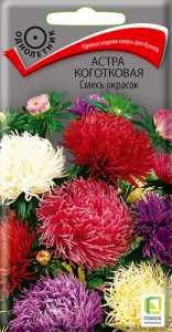 Астра коготковая, смесь купить