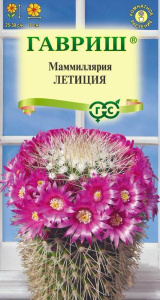 Маммиллярия Бакеберга (Кактус) Летиция купить