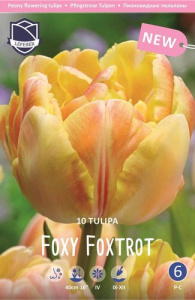Тюльпан Фокси Фокстрот /10шт купить