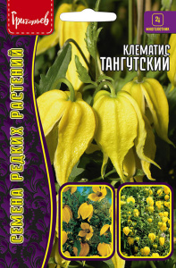 Клематис Тангутский   купить