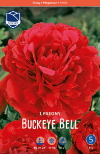 Пион Buckeye Bell /1шт купить