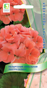 Пеларгония Люстра Салмон  купить