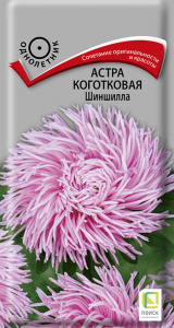 Астра Шиншилла коготковая купить