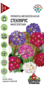 Примула Стеклярус мелкозубчатая смесь Уд. с. купить