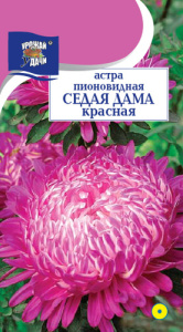 Астра Седая Дама красная пионовидная купить