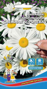 Нивяник наибольший Снежная королева купить