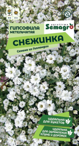 Гипсофила метельчатая Снежинка  купить