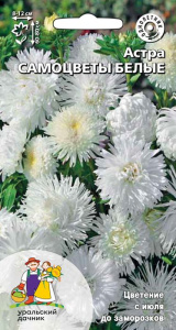 Астра Самоцветы белые купить