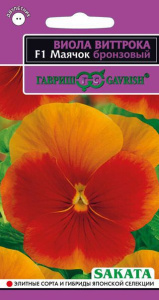 Виола Виттрока Маячок бронзовый  купить