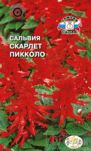 Сальвия Скарлет пиколло  купить