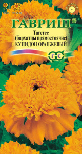 Бархатцы Купидон Оранжевые купить