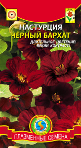 Настурция Черный бархат  купить