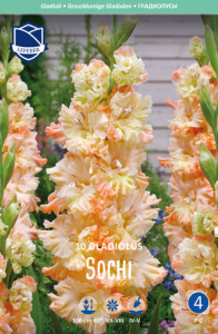 Гладиолус гофрированный Sochi /10шт купить