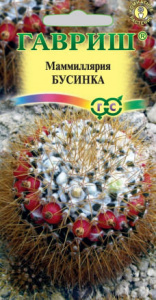 Маммиллярия Бусинка купить