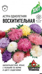 Астра Восхитительная, смесь ХИТ х3 купить