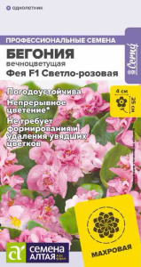 Бегония Фея F1 Светло-розовая вечноцветущая купить